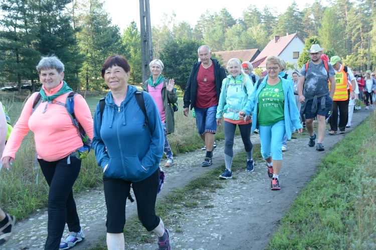 Poranek na polanie w Pietraszowie