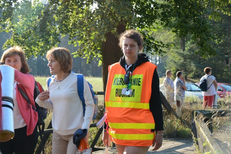 Poranek na polanie w Pietraszowie