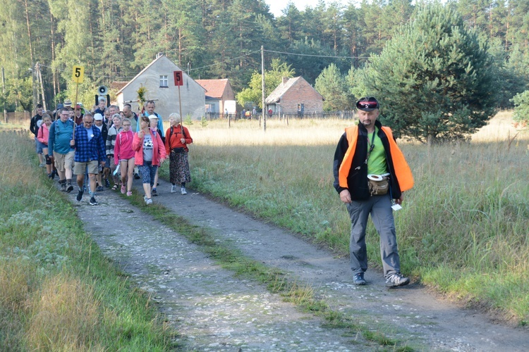 Poranek na polanie w Pietraszowie