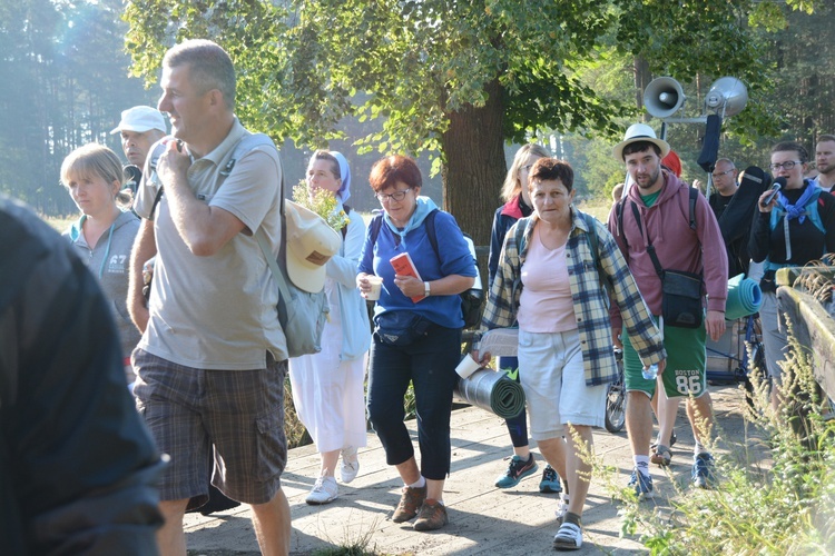 Poranek na polanie w Pietraszowie