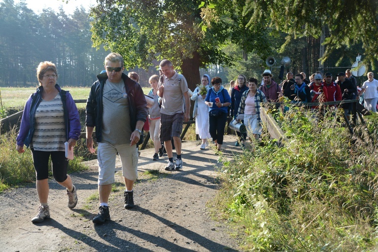 Poranek na polanie w Pietraszowie