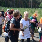 Pielgrzymi na leśnych ścieżkach