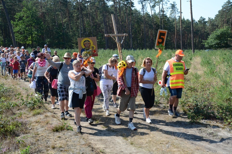 Pielgrzymi na leśnych ścieżkach