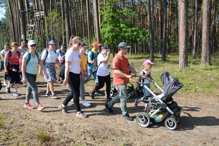 Pielgrzymi na leśnych ścieżkach