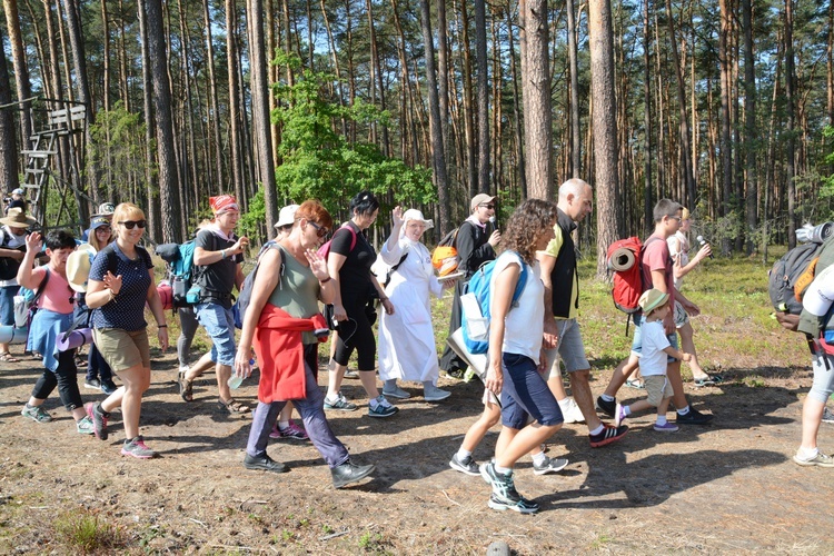 Pielgrzymi na leśnych ścieżkach