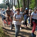 Pielgrzymi na leśnych ścieżkach