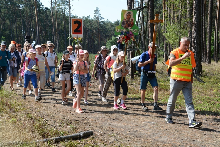 Pielgrzymi na leśnych ścieżkach