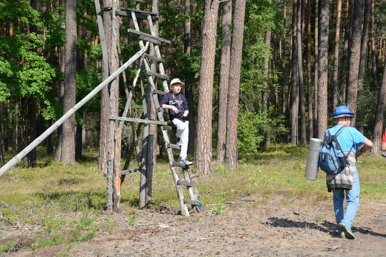 Pielgrzymi na leśnych ścieżkach