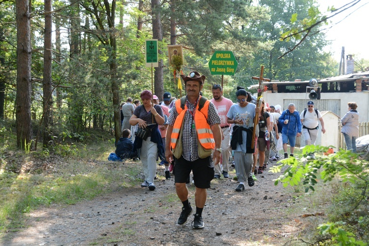 Pielgrzymi na leśnych ścieżkach