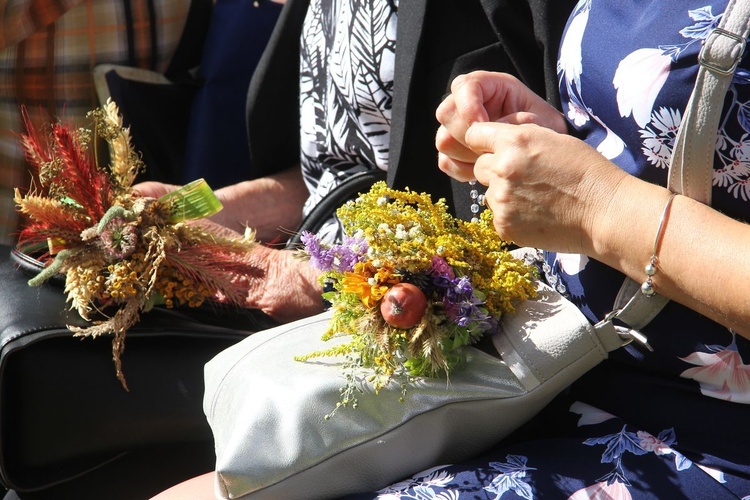 Diecezjalna Pielgrzymka Rodzin na Górę Chełmską cz. 2