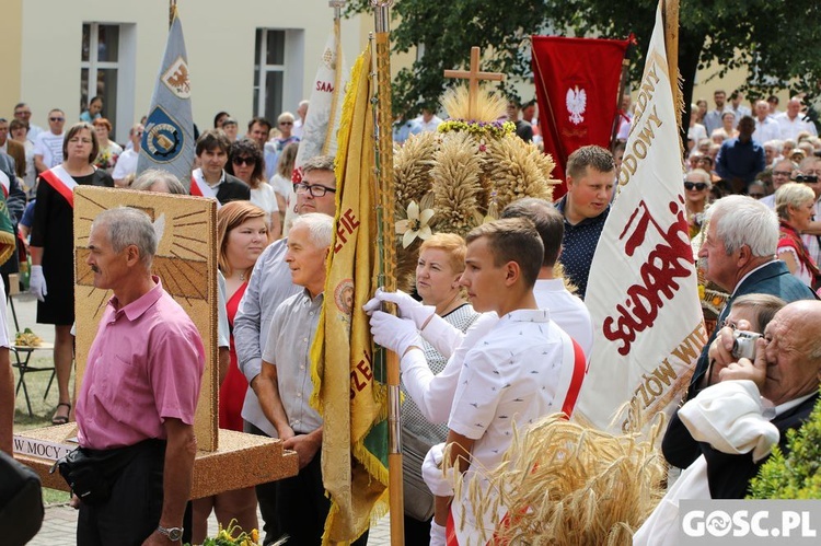 Dożynki diecezjalne w Rokitnie