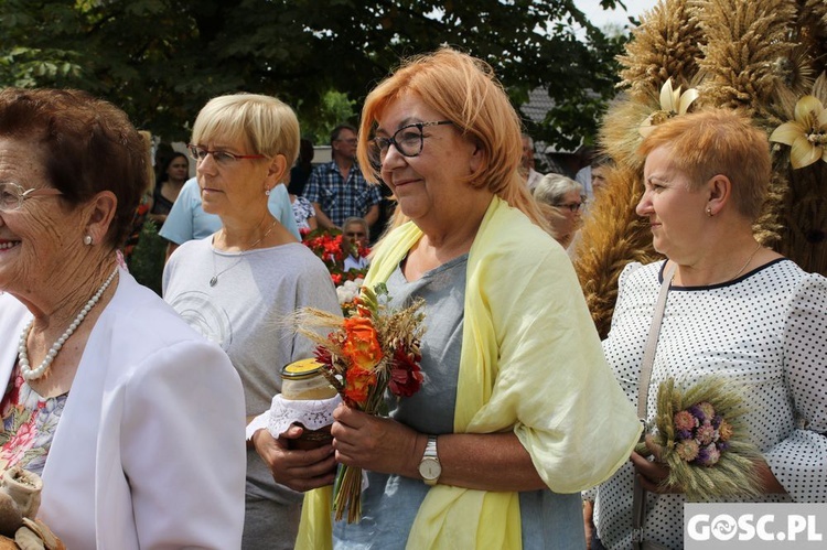 Dożynki diecezjalne w Rokitnie