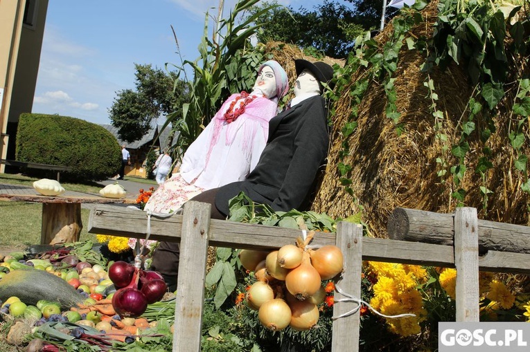 Dożynki diecezjalne w Rokitnie