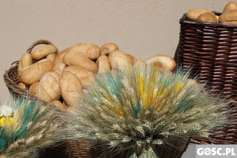 Dożynki diecezjalne w Rokitnie