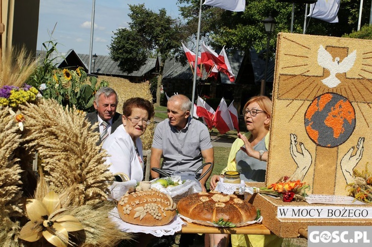 Dożynki diecezjalne w Rokitnie