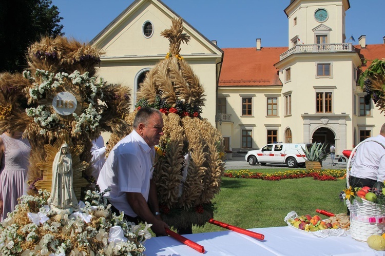 Dożynki miejskie w Tarnobrzegu