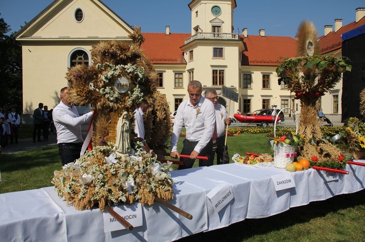 Dożynki miejskie w Tarnobrzegu