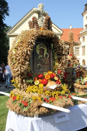 Dożynki miejskie w Tarnobrzegu