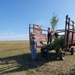 Porządkowanie polskich cmentarzy w Kazachstanie