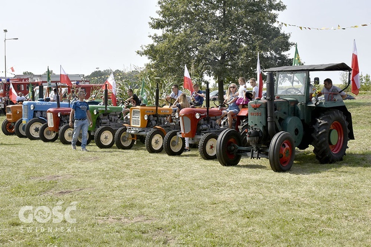 Dożynki gminy Marcinowice w Szczepanowie