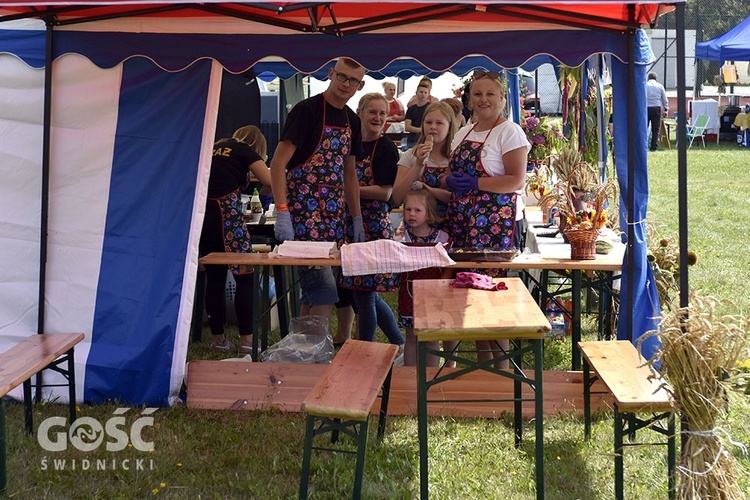 Dożynki gminy Marcinowice w Szczepanowie