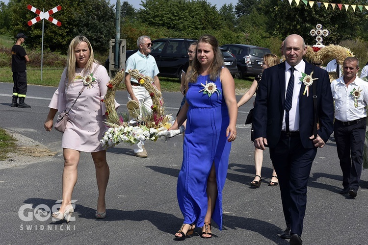 Dożynki gminy Marcinowice w Szczepanowie