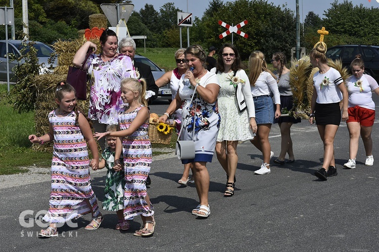 Dożynki gminy Marcinowice w Szczepanowie