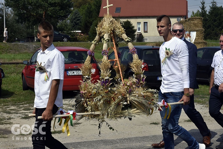 Dożynki gminy Marcinowice w Szczepanowie