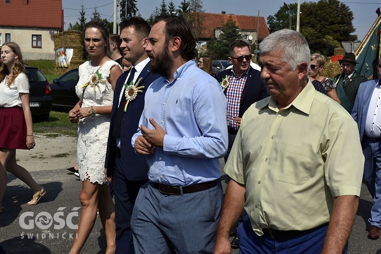 Dożynki gminy Marcinowice w Szczepanowie