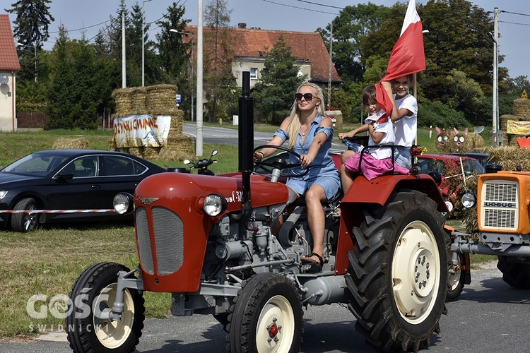 Dożynki gminy Marcinowice w Szczepanowie