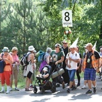 Grupa 8