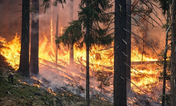 Biskupi zaniepokojeni pożarami w Amazonii