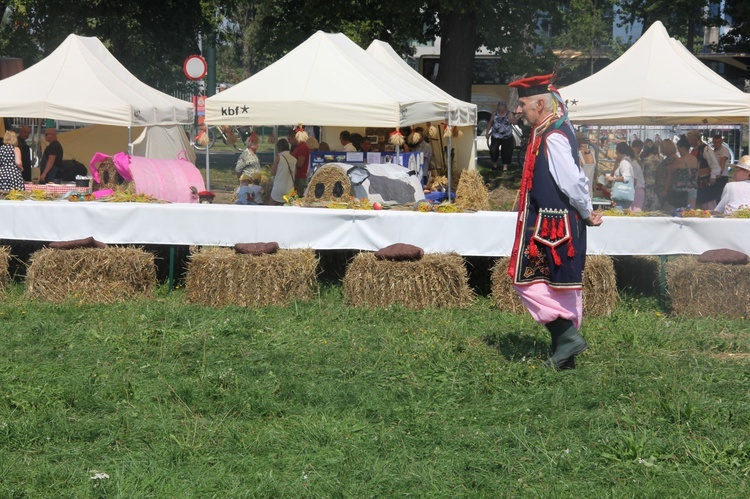 Święto plonów na krakowskich Błoniach