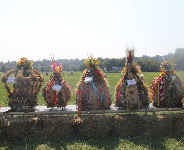 Święto plonów na krakowskich Błoniach