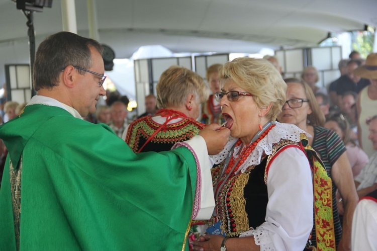 Święto plonów na krakowskich Błoniach