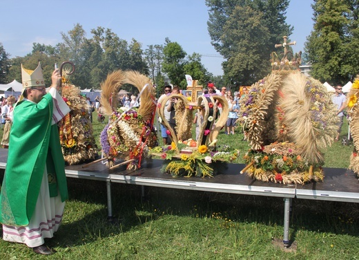 Święto plonów na krakowskich Błoniach