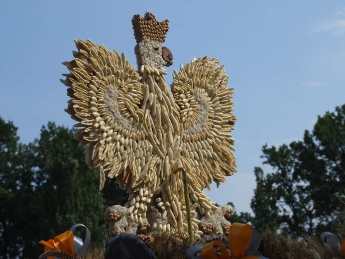 XX Dożynki Województwa Śląskiego