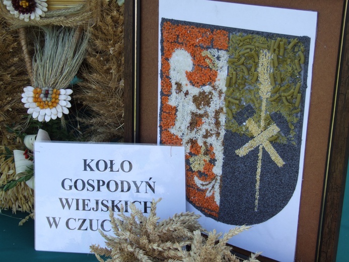 XX Dożynki Województwa Śląskiego