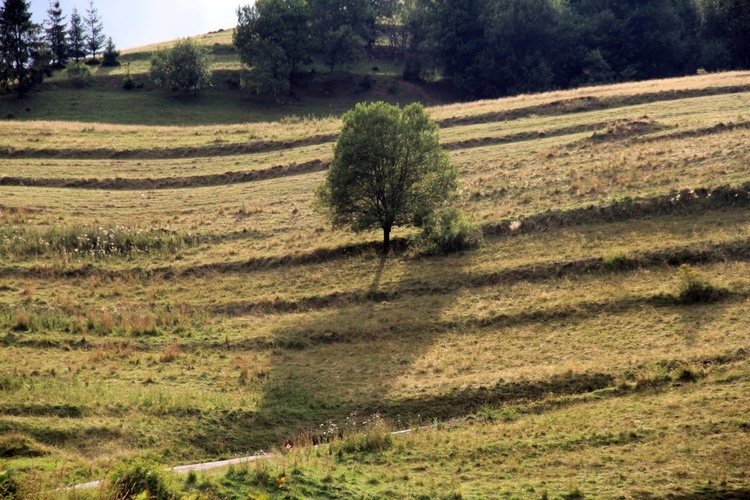 Wędrówka po Spiszu i w Tatrach