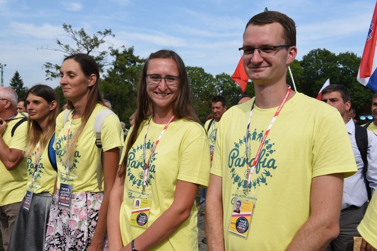 Grupa 21 - wejście
