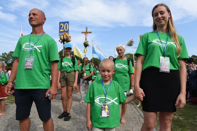 Grupa 20 - wejście