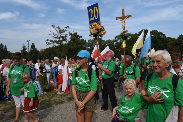 Grupa 20 - wejście