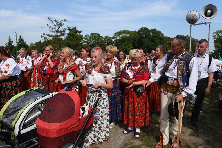 Grupa 19 - wejście