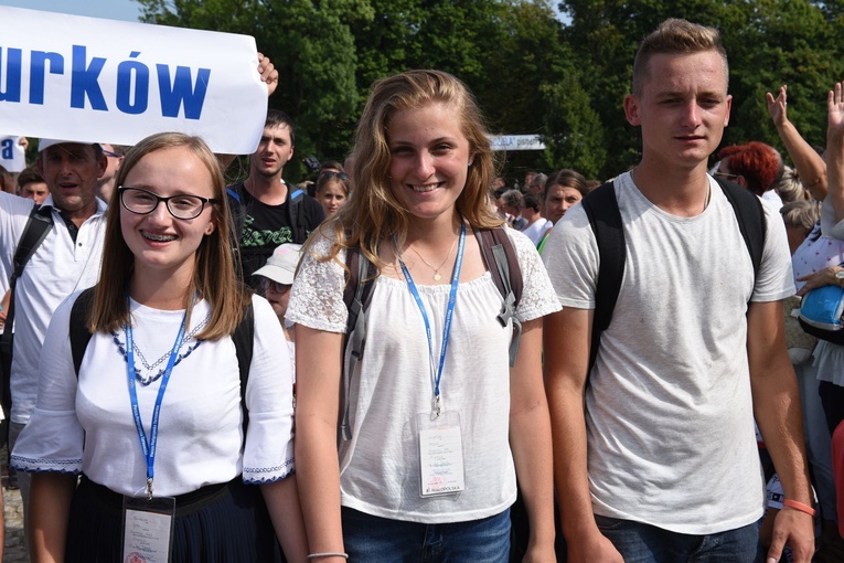 Grupa 15 - wejście