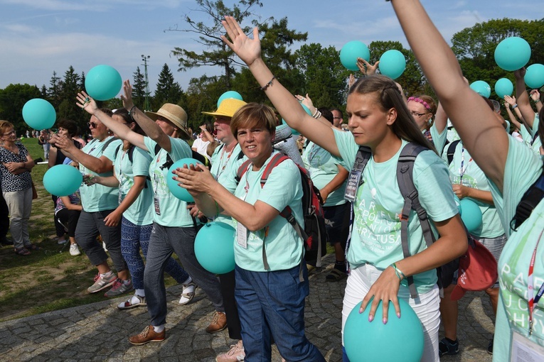 Grupa 2 - wejście