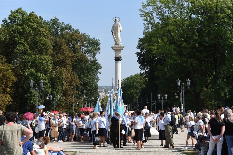 Rycerstwo Niepokalanej