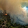 Przywódcy G7 zapowiadają pomoc dla Brazylii w walce z pożarami