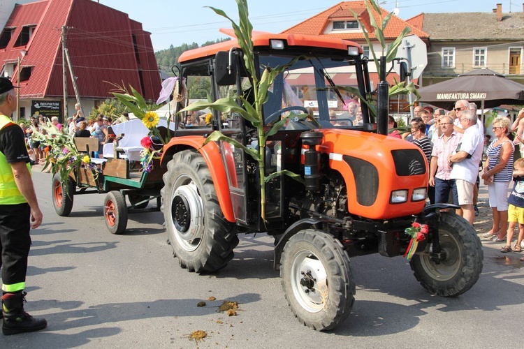 30. Jubileuszowe Dożynki Ekumeniczne w Brennej 2019 - korowód