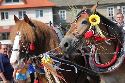 30. Jubileuszowe Dożynki Ekumeniczne w Brennej 2019 - korowód