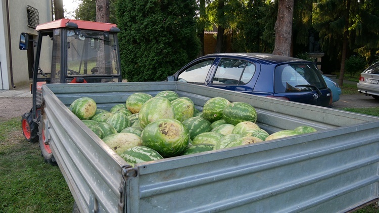 Festyn parafialny u cystersów